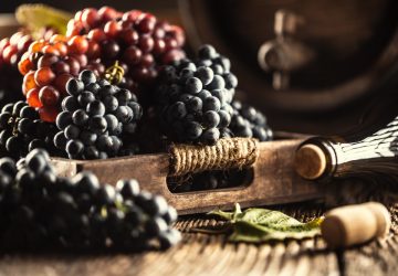 Vinurile Franței: Călătorie prin regiunile viticole